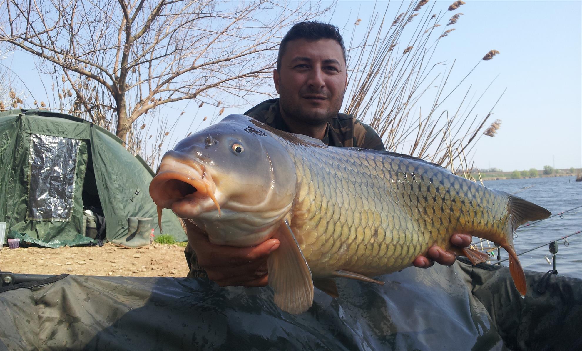 Tancabesti 28 - 29 mar. - 20140329131125.jpg